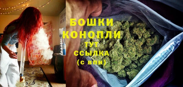 гидропоника Белокуриха