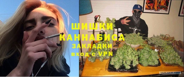гидропоника Белокуриха