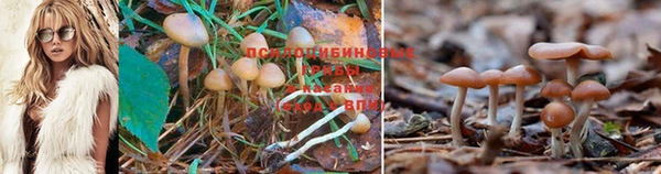 амф Белоозёрский
